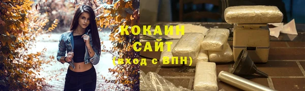 мет Алексин