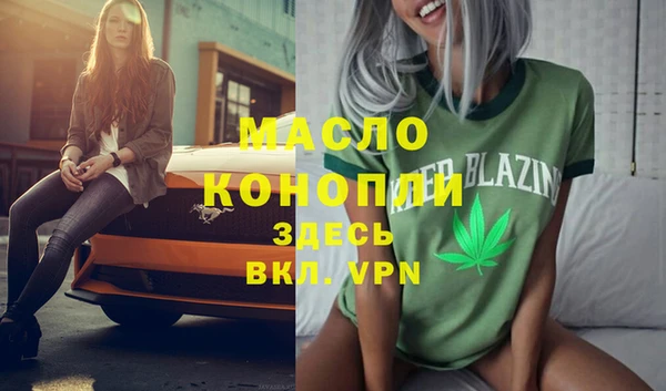 мет Алексин